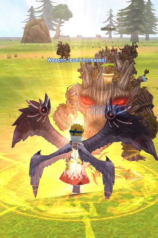 Weapon Level